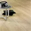 Ламинат 621 Дуб Канарский Solid Plus Alsafloor - в Днепре