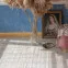 Кварц-вінілова плитка 66777 Дуб Росток Vinilam 2.5 mm Vinilam - у Дніпрі