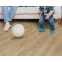Ламинат GL514 Дуб Медовий Golden V4 Peli Parquet - в Днепре