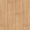 Ламинат GL514 Дуб Медовий Golden V4 Peli Parquet - в Днепре
