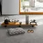 Ламінат 1732222 Hadi Teherani New Terrazzo Edition 1 Parador - у Дніпрі