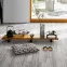 Ламинат 1732224 Hadi Teherani New Travertine Edition 1 Parador - в Днепре