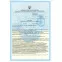 Ламинат EPL140 (239570) Дуб Нарва Classic V0 Egger - в Днепре