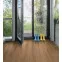 Ламинат 537378 Дуб Венето Медовый Tritty 200 Aqua Gran Via 4V Haro - в Днепре