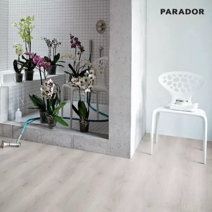 Ламинат 1593847 Дуб Аскада Белый Вибеленный 1Х Basic 600 V4 Parador - в Днепре