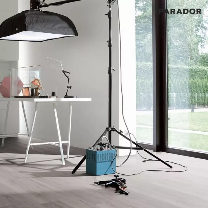 Ламинат 1593852 Дуб Светло-Серый 1Х Basic 600 V4 Parador - в Днепре