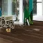 Ламинат 1473907 Орех 1Х Trendtime 1 Parador - в Днепре
