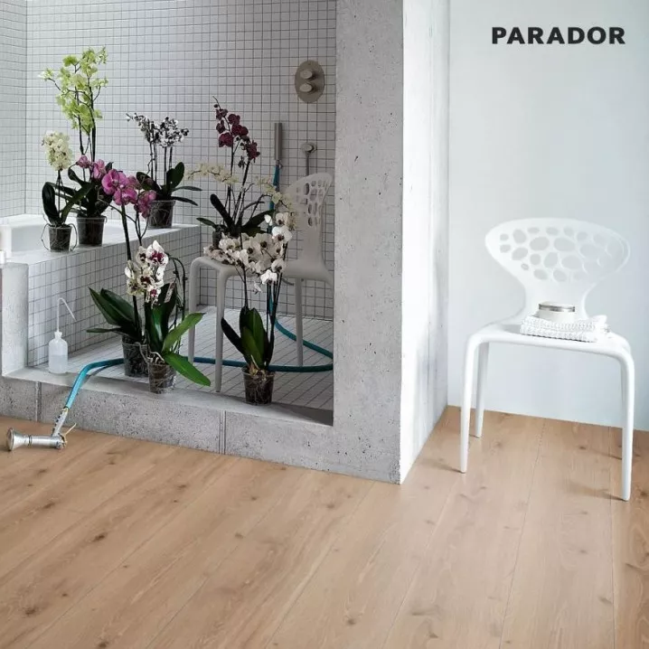 Ламінат 1371173 Дуб Кастелл Крейдований 4V Trendtime 6 Parador - у Дніпрі Ламінат 1371173 Дуб Кастелл Крейдований 4V Trendtime 6 Parador - у Дніпрі