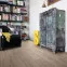 Ламинат 533121 Oak Portland Grey Tritty 100 Haro - в Днепре