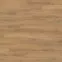 Ламинат 538720 Oak Emilia Honey Tritty 100 Loft 4V Haro - в Днепре