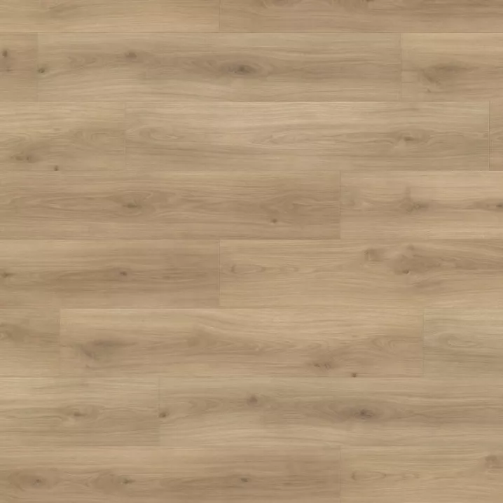 Ламінат 538750 Oak Emilia Puro Tritty 100 Campus 4V Haro - у Дніпрі