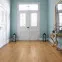 Ламинат 532063 Alpine Oak Nature Tritty 100 Campus 4V Haro - в Днепре