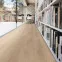 Ламинат 535269 Oak Veneto Crema Tritty 100 Gran Via 4V Haro - в Днепре